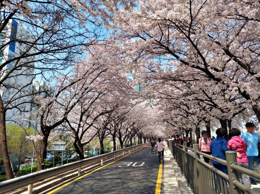 도림천 산책로 전경 4